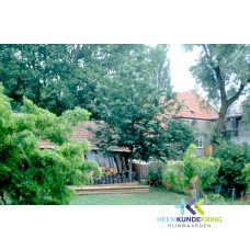 Boerderij Gerritsen Spijk 07-1996 ponderosa F00002177